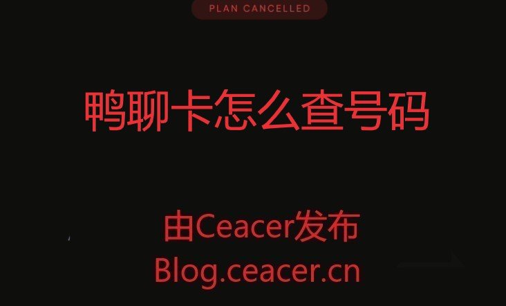 鸭聊卡怎么查号码