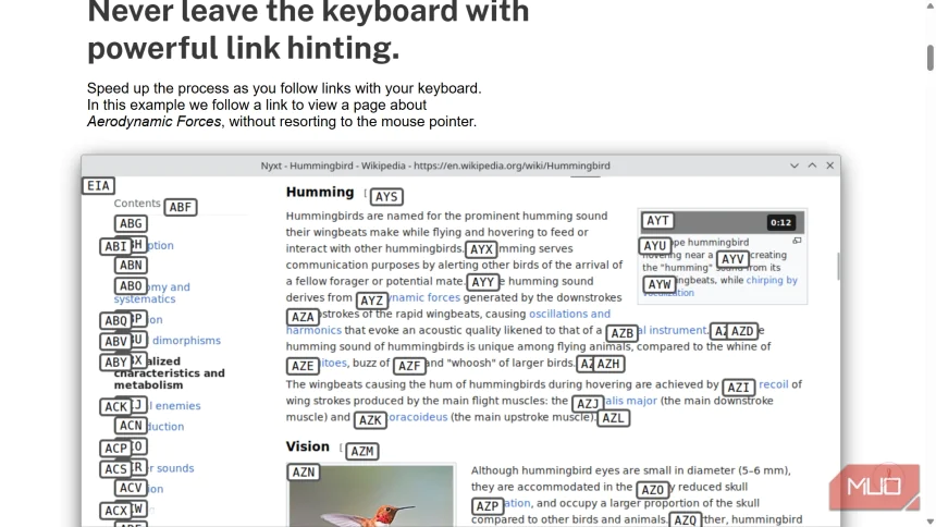 These browsers let you ditch the mouse completely